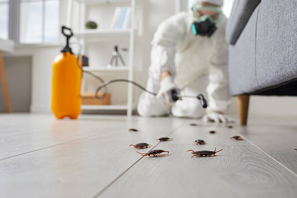 Trusted Fumigation Services service in Smoke Rise, AL - Nex Pest Control