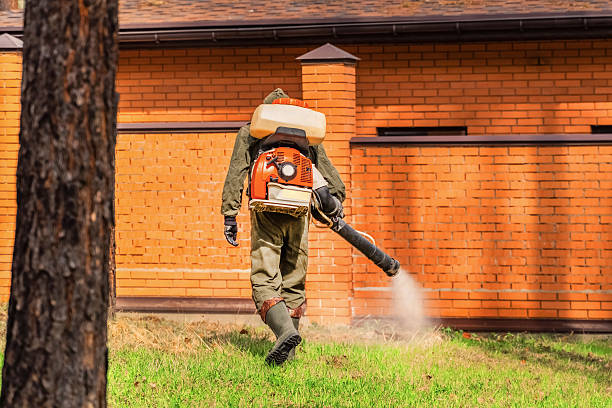 Trusted Cockroach Control service in Smoke Rise, AL - Nex Pest Control